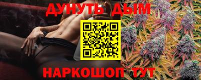 сатива Пенза